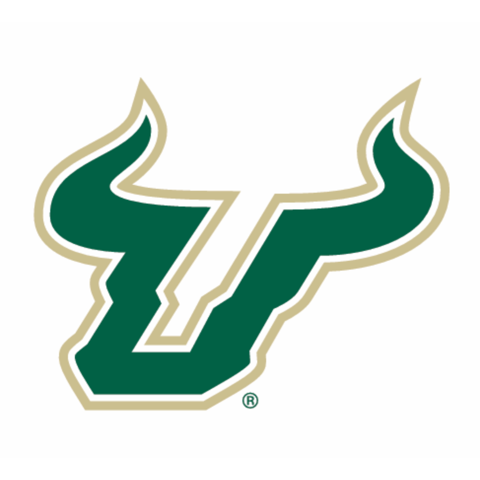 University of South Florida
