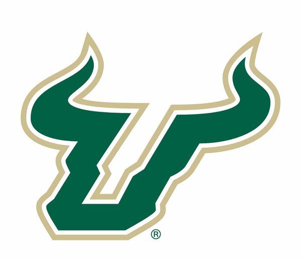 University of South Florida