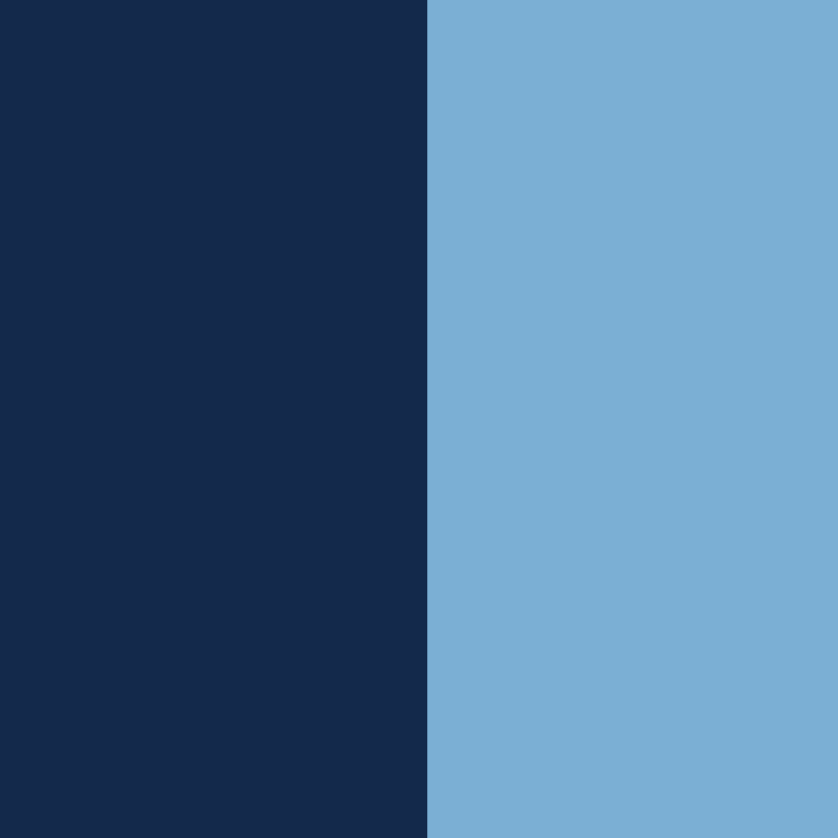 Navy & Light Blue