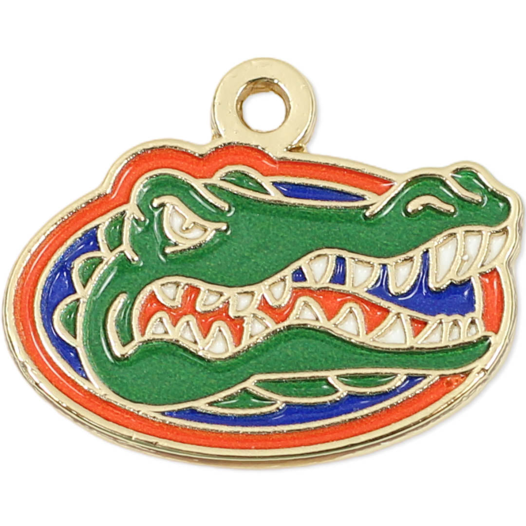 Florida Gators Charms